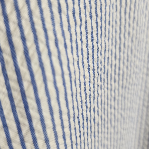 J.Crew Blue Striped Sleeveless Dress - Picture 2 of 3